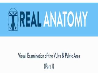 Mamalhuda morena espectáculos o anatomy de dela vulva